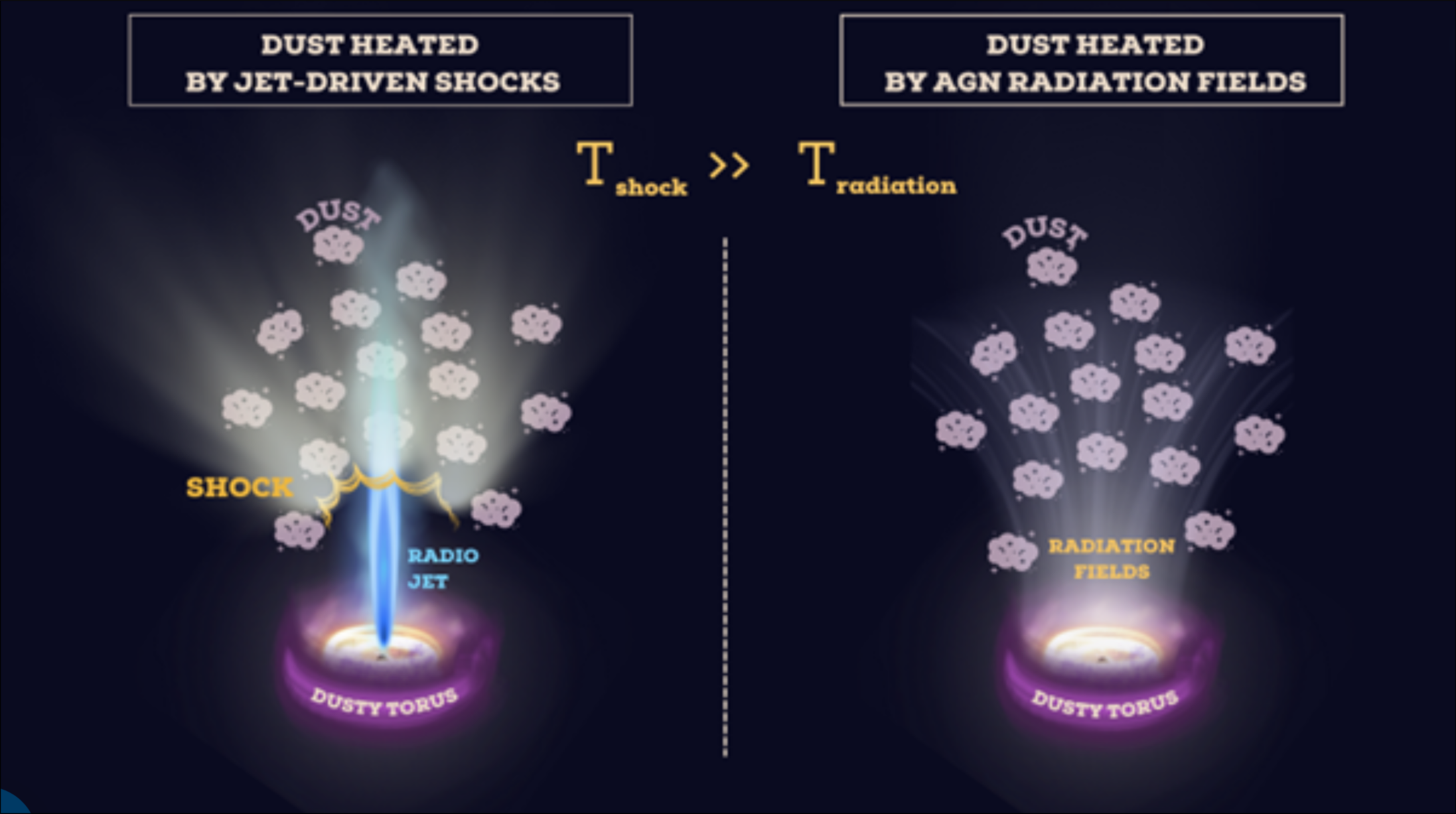 JWST Dust Structure