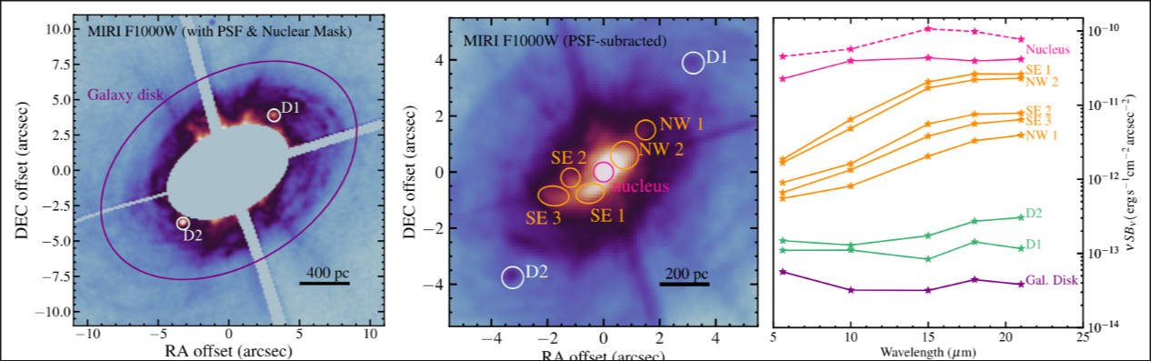 JWST Reveals Dust Around AGN