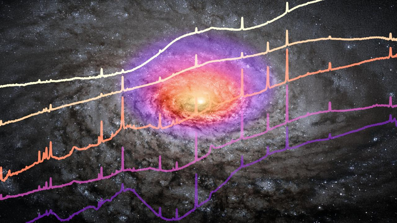 James Webb infrared data reveal unexpected diversity in hidden quasars